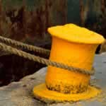 This is the title caption for the photo